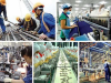 Việc Làm Bình Dương 2025: LĐPT, Tài Xế Xe Công, Hút Hàng Ngàn Lao Động