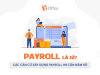 Payroll là gì? Giải pháp tính lương hiệu quả cho doanh nghiệp