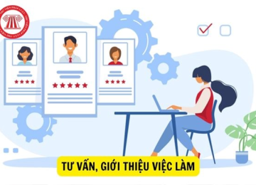 Dịch vụ Tuyển dụng 