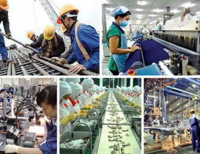 Việc Làm Bình Dương 2025: LĐPT, Tài Xế Xe Công, Hút Hàng Ngàn Lao Động